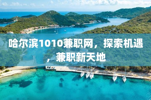 哈尔滨1010兼职网，探索机遇，兼职新天地