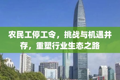 农民工停工令，挑战与机遇并存，重塑行业生态之路