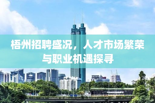 梧州招聘盛况，人才市场繁荣与职业机遇探寻