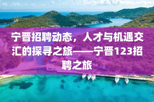 宁晋招聘动态，人才与机遇交汇的探寻之旅——宁晋123招聘之旅