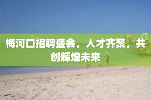 梅河口招聘盛会，人才齐聚，共创辉煌未来