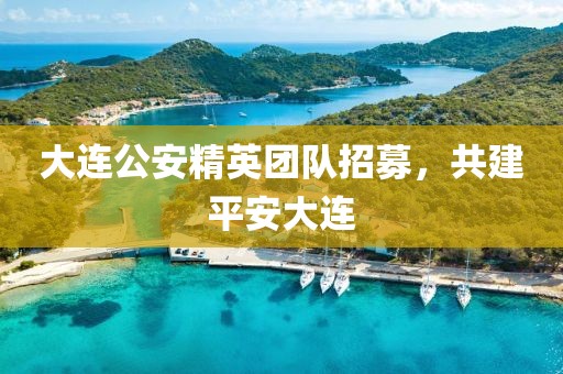 大连公安精英团队招募，共建平安大连