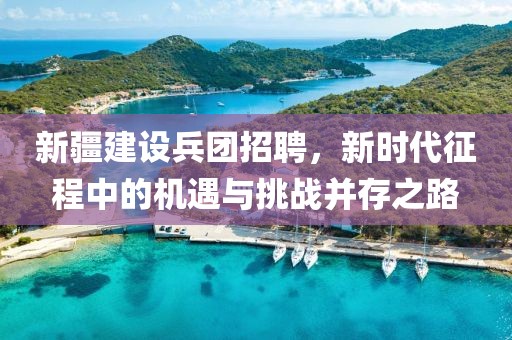 新疆建设兵团招聘，新时代征程中的机遇与挑战并存之路