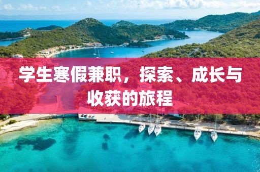 学生寒假兼职，探索、成长与收获的旅程