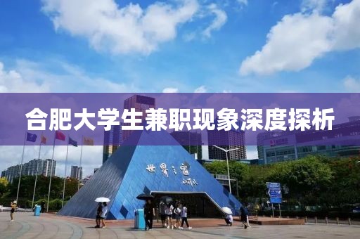 合肥大学生兼职现象深度探析