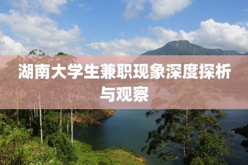 湖南大学生兼职现象深度探析与观察