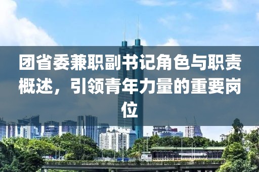 团省委兼职副书记角色与职责概述，引领青年力量的重要岗位